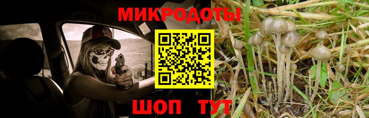 Галлюциногенные грибы Psilocybine cubensis  Вход с VPN  Владимир 